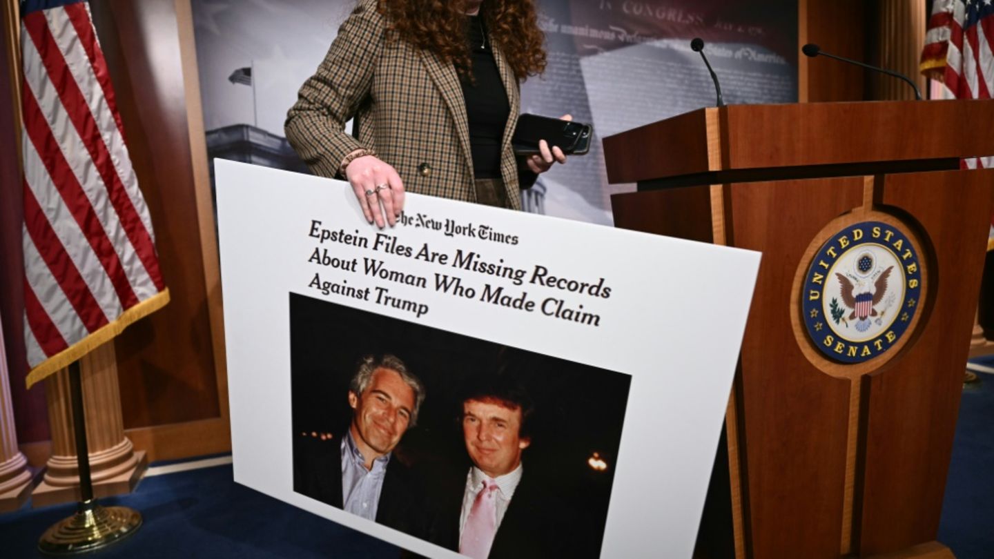 Plakat mit Foto von Jeffrey Epstein und Donald Trump