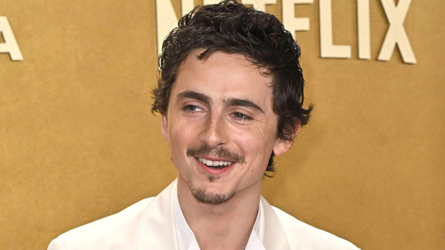 Timothée Chalamet hat die internationale Opernszene gegen sich aufgebracht.