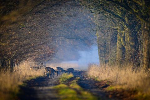 Viel Sonne und milde Temperaturen laden am Wochenende in Berlin und Brandenburg ins Freie ein – nachts kann es dennoch noch einm