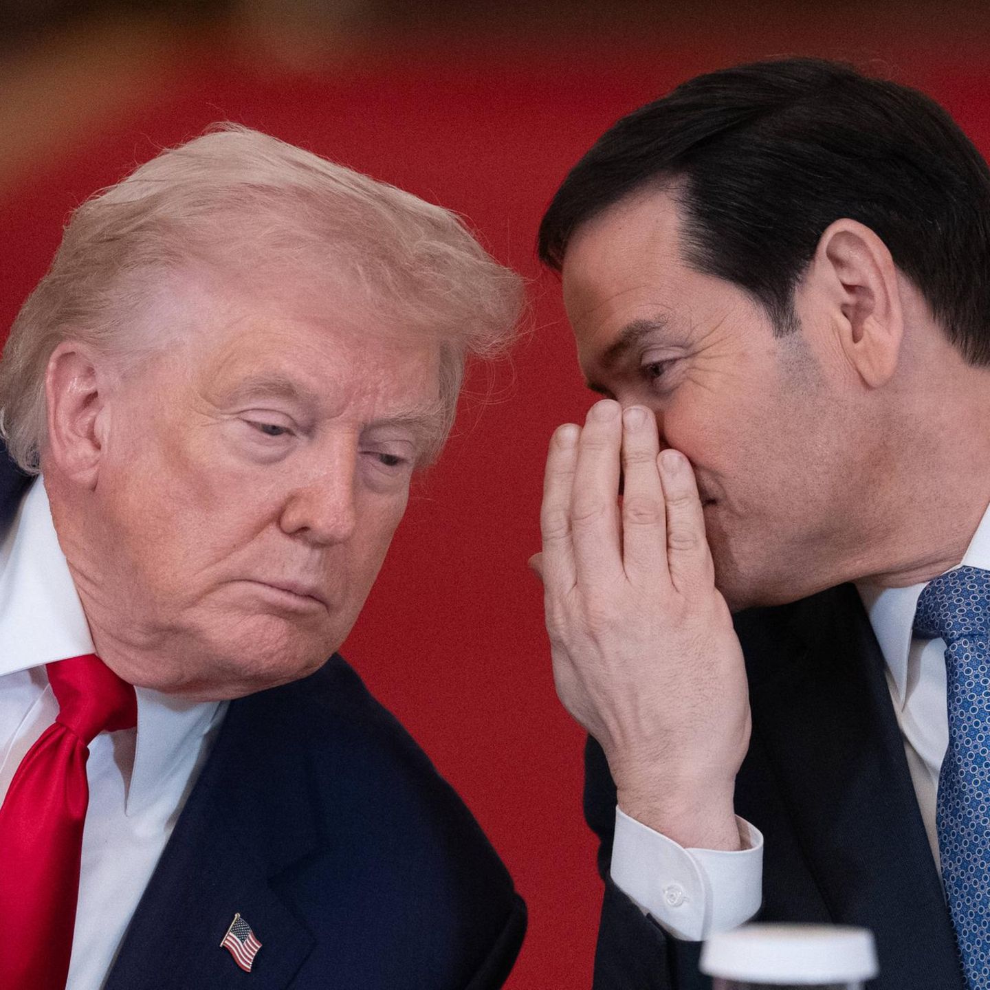 Donald Trump und Marco Rubio, Sohn kubanischer Einwanderer