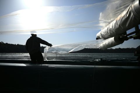 Arbeiter auf Spargelfeld