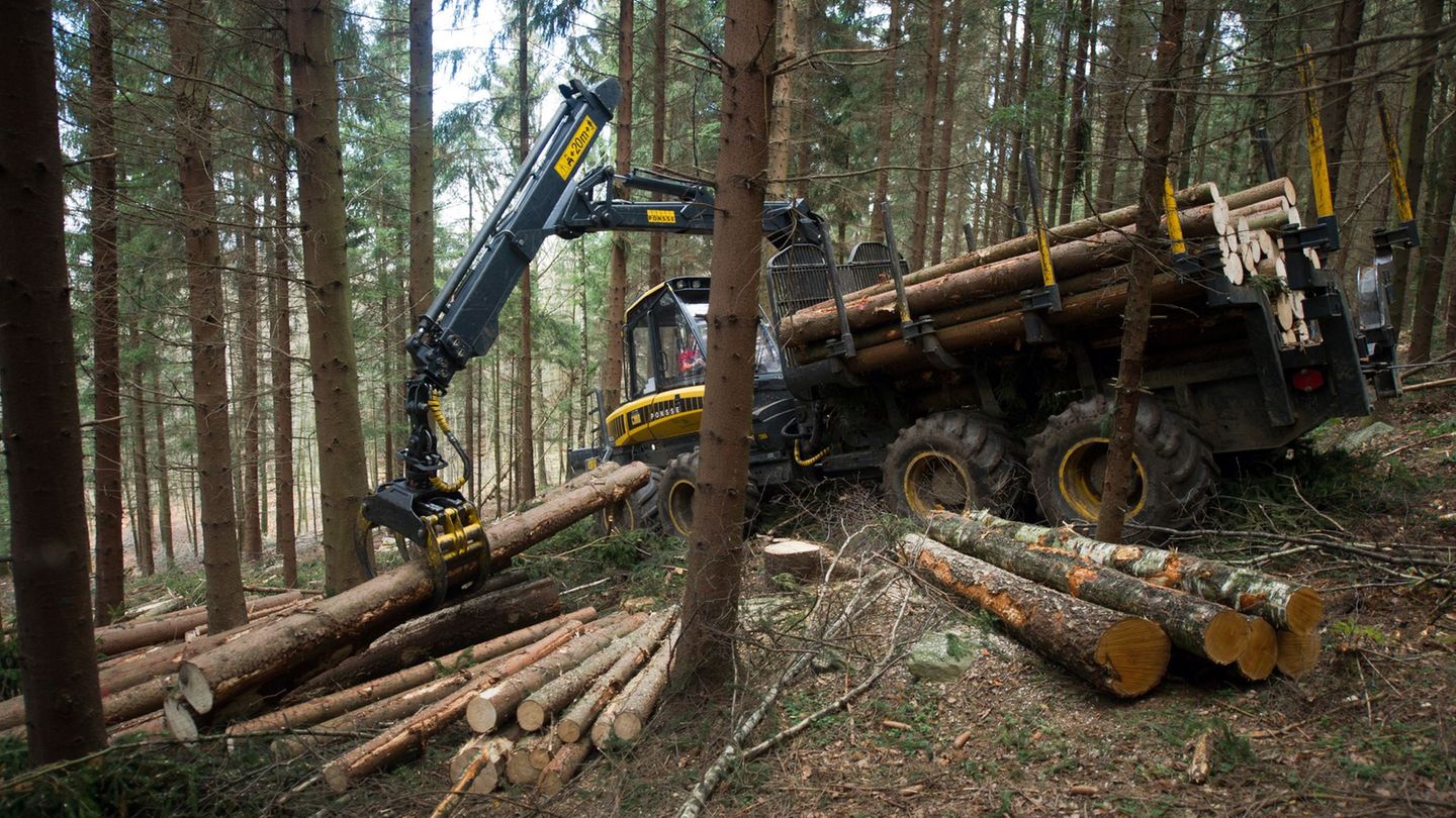 Die Täter entleeren Feuerlöscher in den Führerhäusern der Waldfahrzeugen. (Symbolbild) Foto: picture alliance / dpa