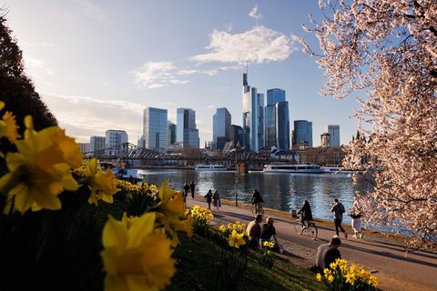 Das sonnige Frühlingswetter setzt sich bis zum Sonntag fort. (Archivbild) Foto: Lando Hass/dpa