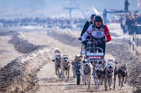 Vor vielen Zuschauer sind zahlreiche Prominente zu einem Schlittenhunderennen auf Usedom angetreten. Foto: Jens Büttner/dpa