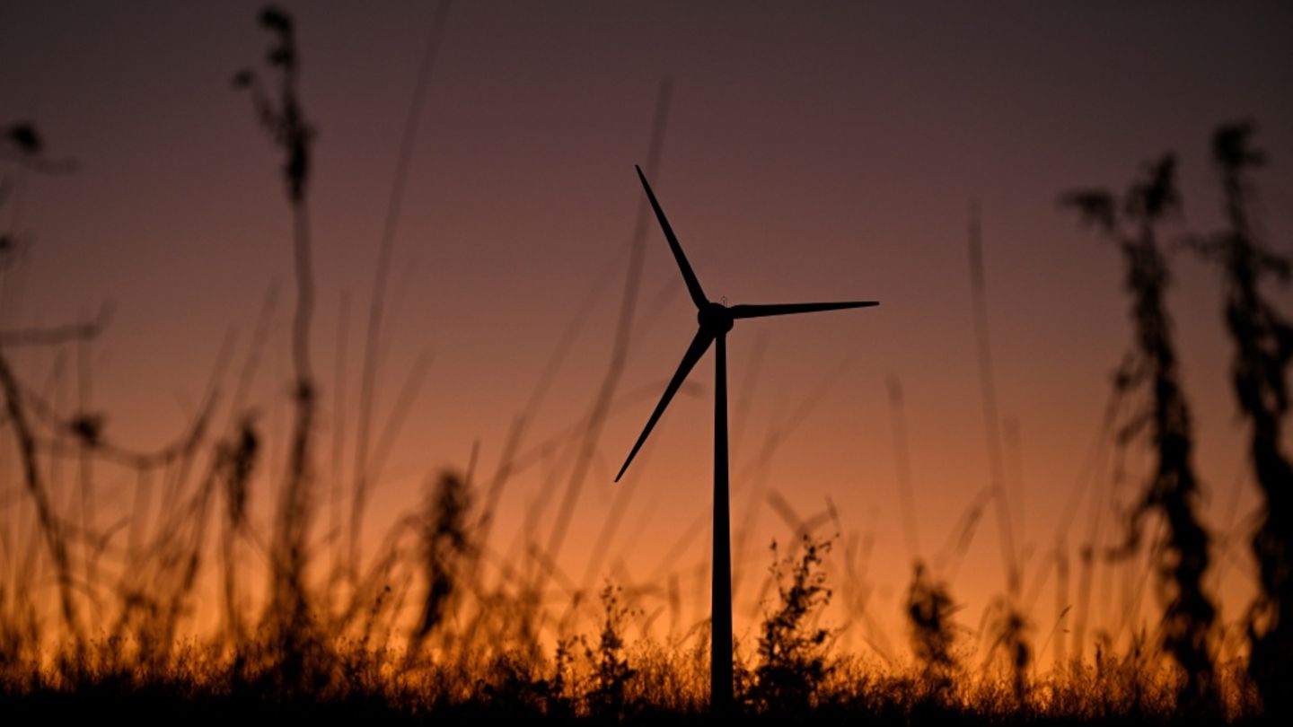 Mehr als 1600 Unternehmen kritisieren Energiepolitik der Bundesregierung