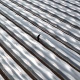 Grieben, Deutschland. Arne Garlipp geht durch die Reihen der Spargeldämme und kontrolliert die gelegte Thermofolie. In Sachsen-Anhalt sind die ersten Arbeiter auf den Spargelfeldern und arbeiten an den Dämmen und den Folien. Bis zum ersten Spargelstich wird es aber noch einige Zeit dauern. Auf den Feldern des Spargelhofs Garlipp Spargel erwartet man den ersten Stich in der letzten Märzwoche.