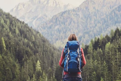Beim Wandern lässt sich die Natur ganz fabelhaft erkunden.