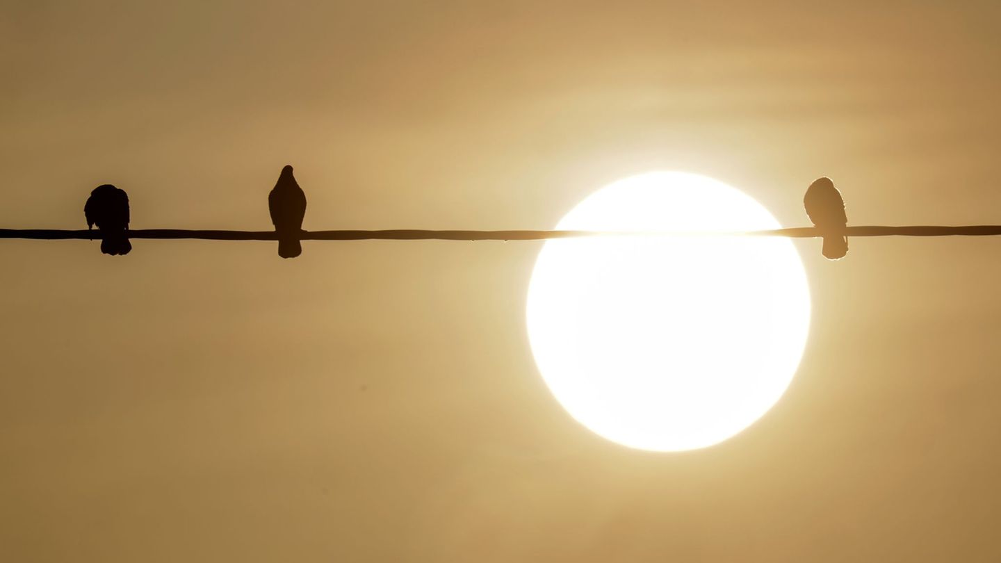 Wetter: DWD: Nochmal teils milchig-trübes Licht wegen Saharastaub