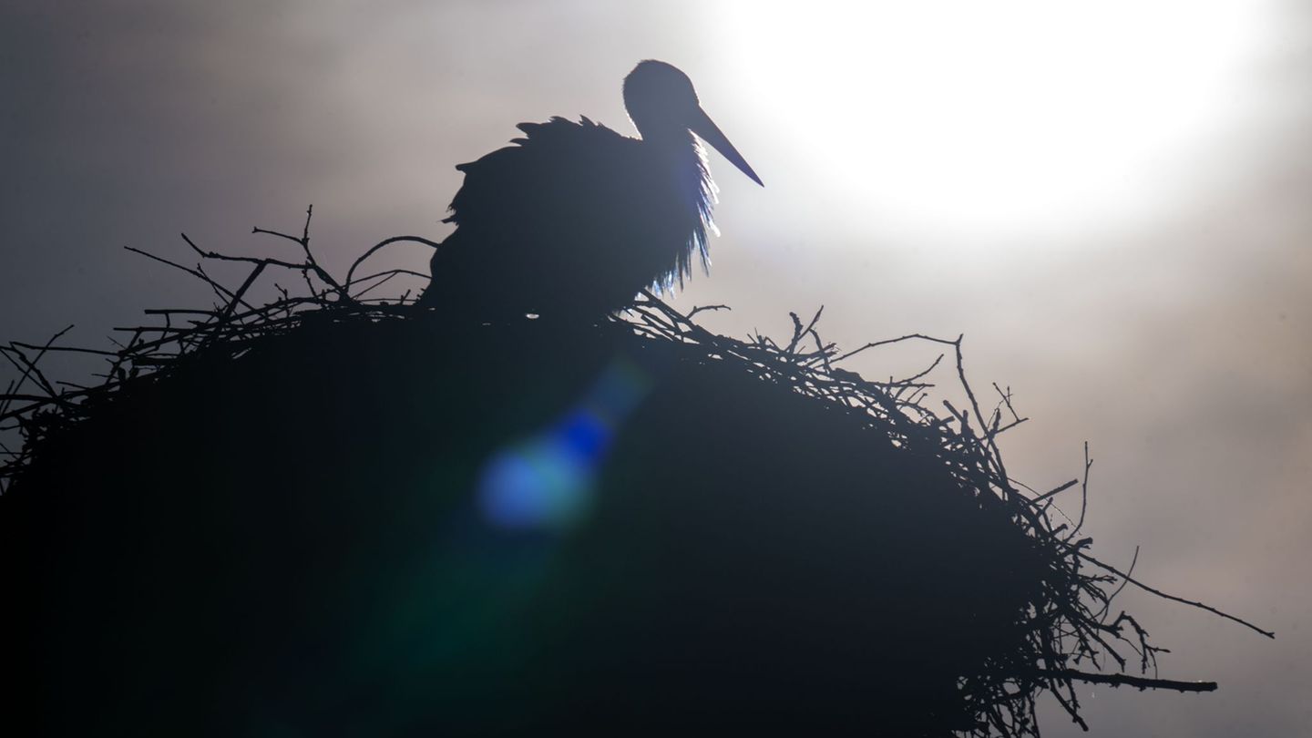 Wetter: Am Wahlsonntag wird es frühlingshaft in Bayern
