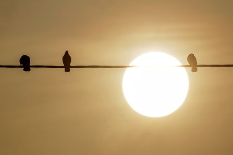 Der Saharastaub ist vor allem bei Sonnenaufgang und Sonnenuntergang gut sichtbar. Foto: Thomas Warnack/dpa