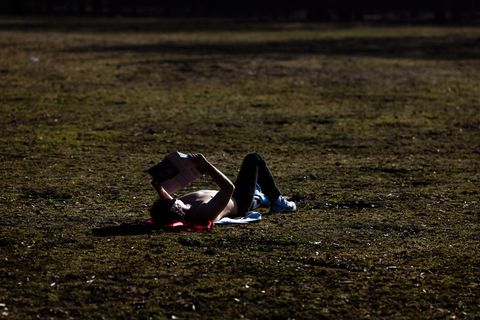 Mildes Frühlingswetter lädt in Berlin und Brandenburg nach draußen ein. (Symbolbild) Foto: Christoph Soeder/dpa