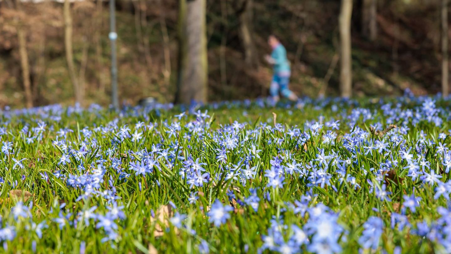 Am Wochenstart bleibt es in Hessen freundlich, doch in den Nächten sinken die Temperaturen örtlich unter null. Foto: Jörg Halisc
