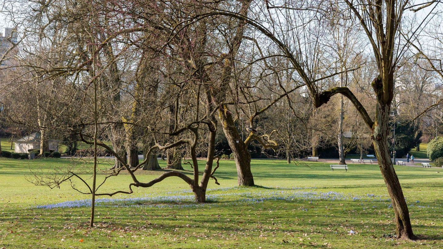 Sonnige Tage wechseln sich in Rheinland-Pfalz und im Saarland mit kühlen Nächten ab. Foto: Jörg Halisch/dpa
