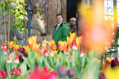 Auch Sachsens Ministerpräsident Michael Kretschmer (CDU) kam zur Blumenschau "Dresdner Frühling" in das Palais Großer Garten. (A