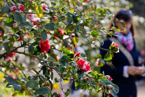 Am Dienstag sind vereinzelte Schauer und Gewitter "ganz zur Freude der langsam aufblühenden Natur" möglich, so Meteorologe Bauer