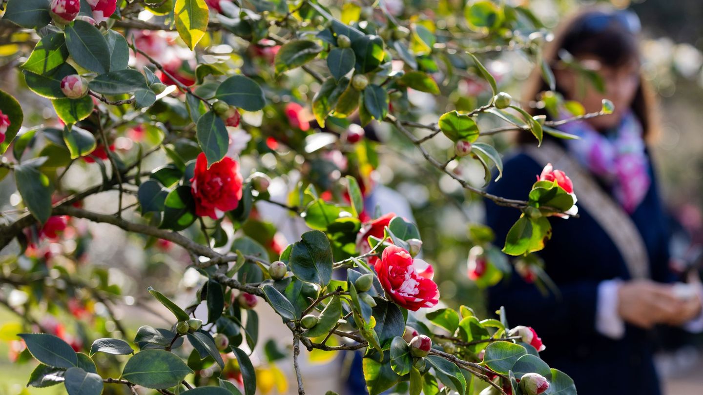 Am Dienstag sind vereinzelte Schauer und Gewitter "ganz zur Freude der langsam aufblühenden Natur" möglich, so Meteorologe Bauer