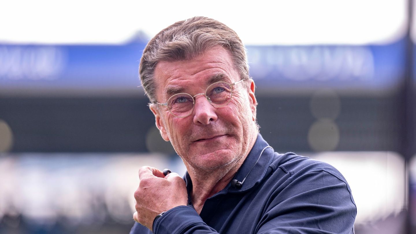 Kehrt nach Wolfsburg zurück: Trainer Dieter Hecking. (Archivbild)