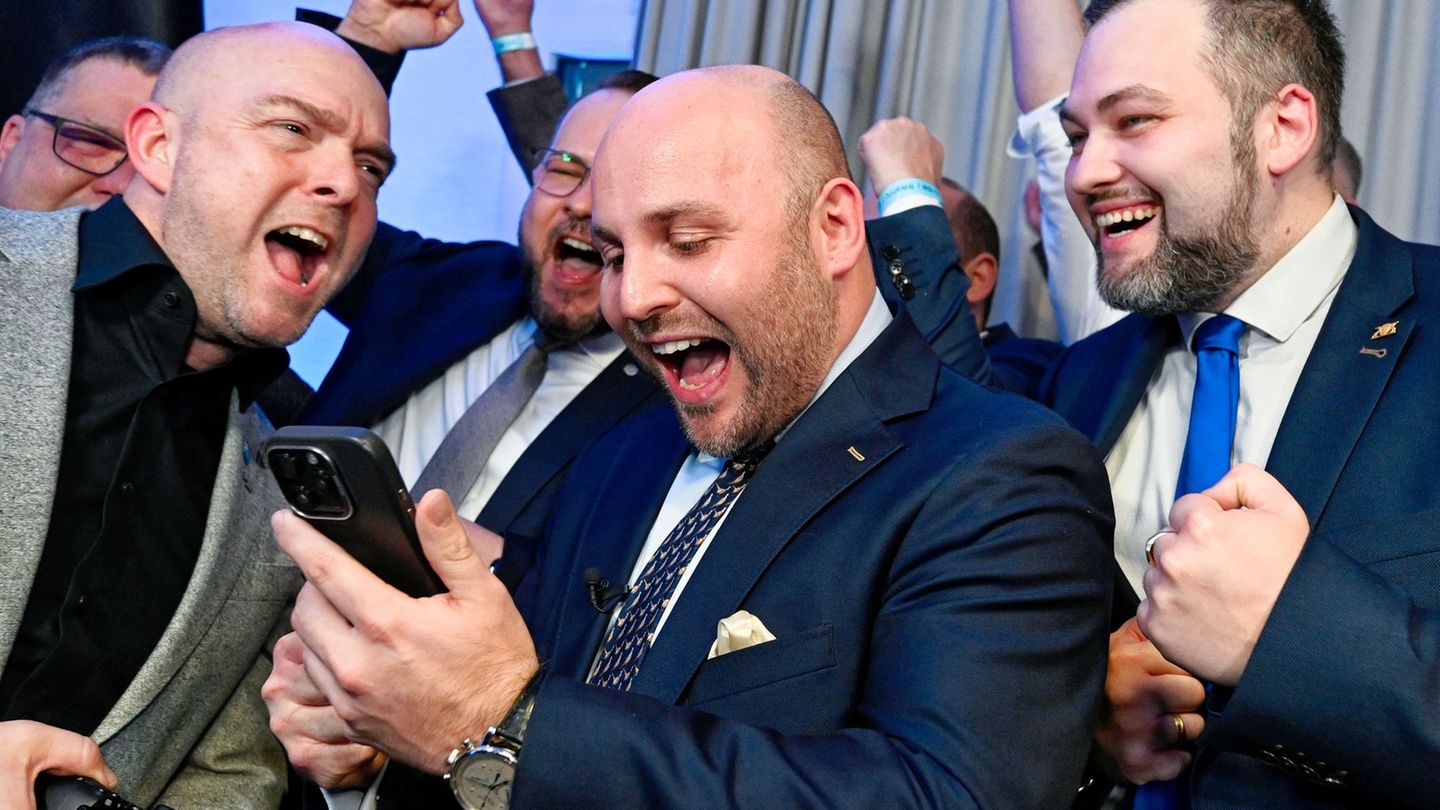 Frohnmaier sieht eine konservative Mehrheit - und den Ball nun bei der CDU Foto: Uwe Anspach/dpa