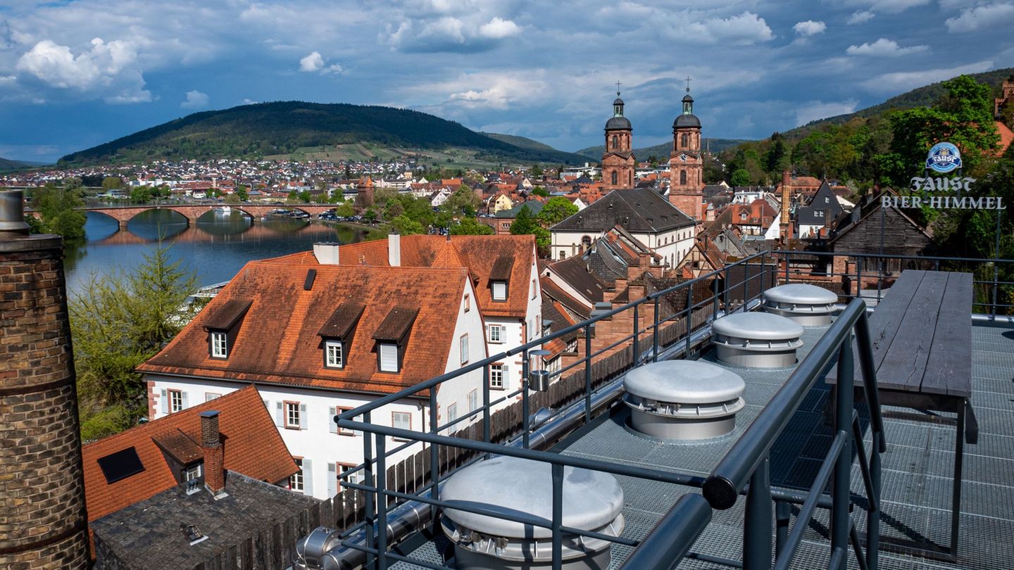 Der Landkreis Miltenberg hatte bisher einen Landrat von den Grünen. (Archivbild) Foto: Andreas Drouve/dpa-tmn