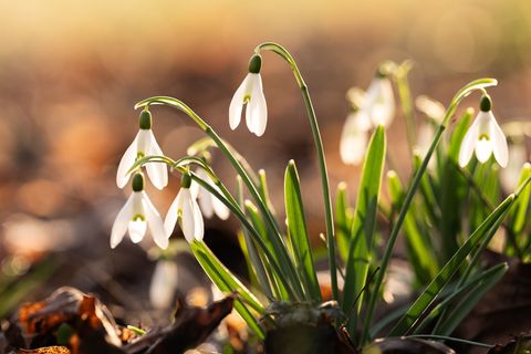 Es bleibt relativ warm, aber im Tagesverlauf könnte es auch Regen geben. (Symbolfoto) Foto: Silas Stein/dpa