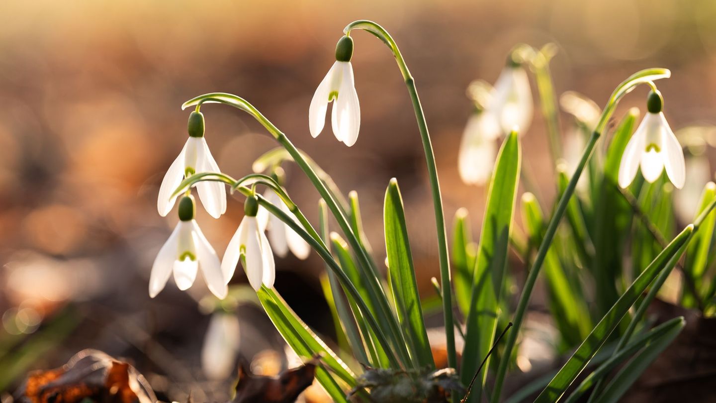 Es bleibt relativ warm, aber im Tagesverlauf könnte es auch Regen geben. (Symbolfoto) Foto: Silas Stein/dpa