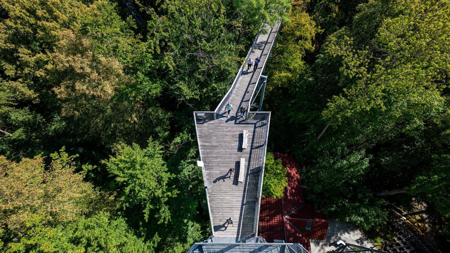 Auf Wanderung verirrt: Zwei Frauen verirren sich im Nationalpark Hainich