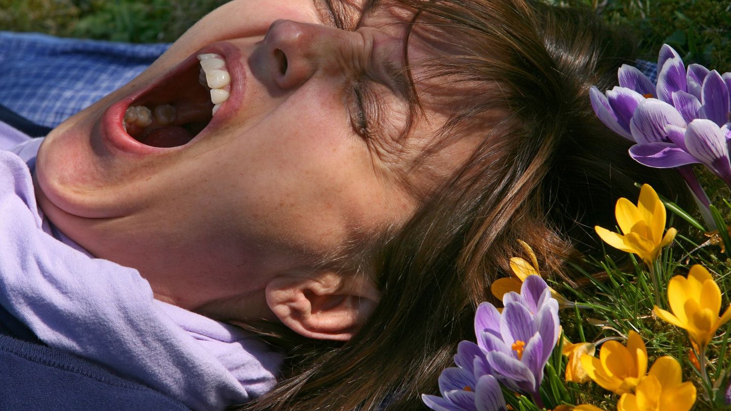 Eine Frau liegt auf einer mit Krokussen bewachsenen Wiese und gähnt. (Archivbild) Foto: picture alliance / Karl-Josef Hildenbran