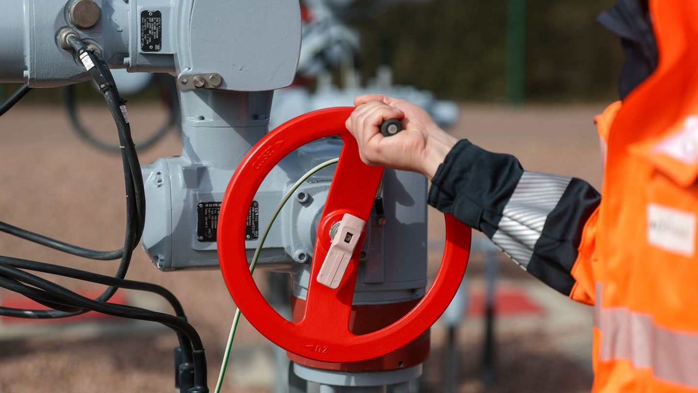 Das geplante Wasserstoff-Kernnetz gilt als wichtiger Baustein für die Dekarbonisierung der Industrie (Archivbild) Foto: Jan Woit