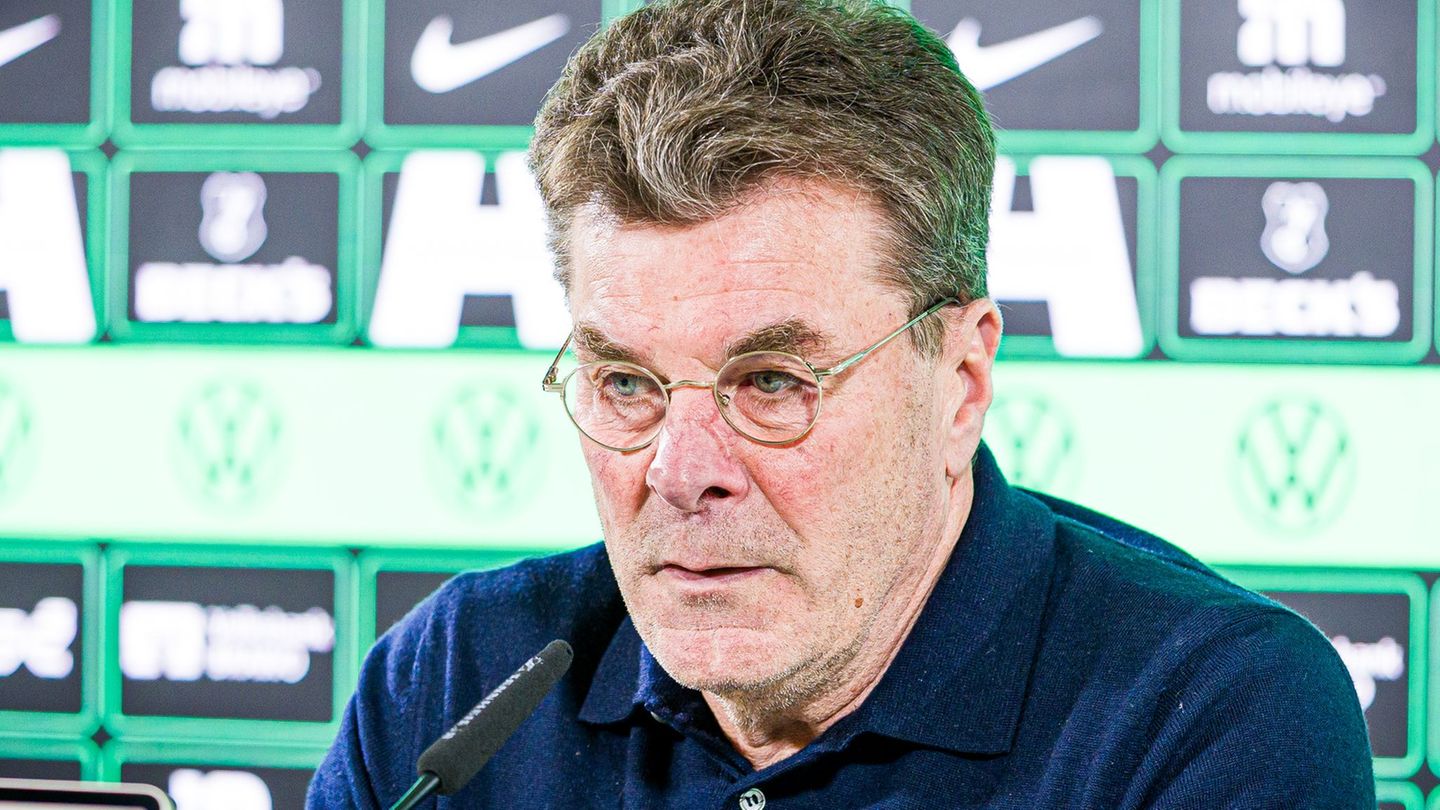 Dieter Hecking soll den VfL Wolfsburg vor dem Abstieg retten. Foto: Moritz Frankenberg/dpa