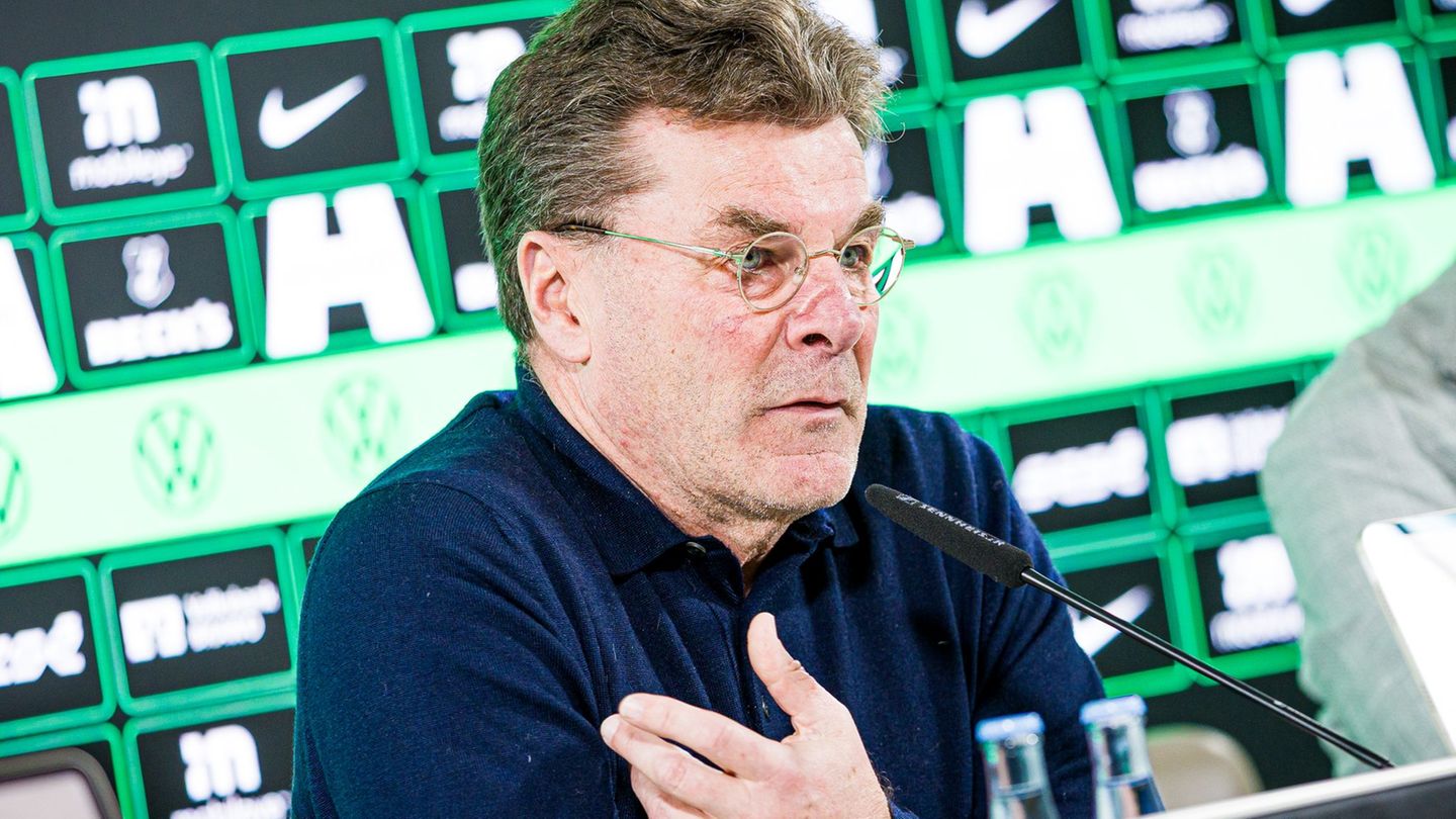 Der neue Wolfsburg-Trainer Dieter Hecking. Foto: Moritz Frankenberg/dpa