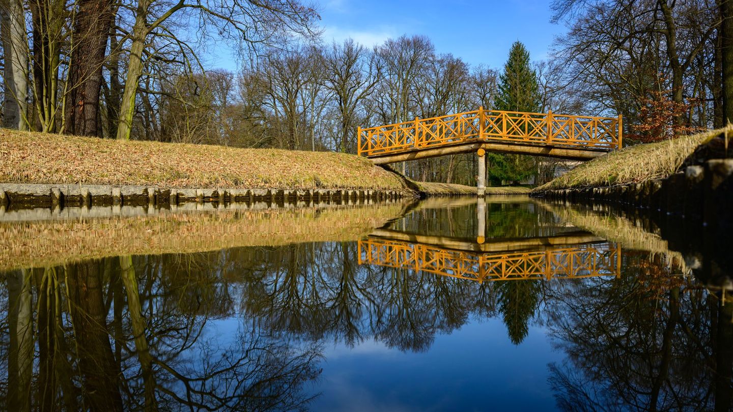 Das gute Wetter lädt in Berlin und Brandenburg zum Spazieren ein. Foto: Patrick Pleul/dpa