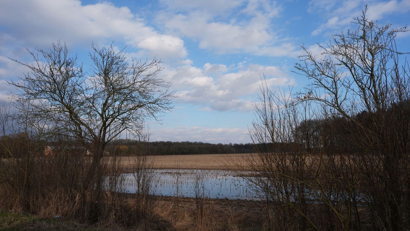 Wetter: Wetterumschwung im Norden – Regen und Gewitter erwartet