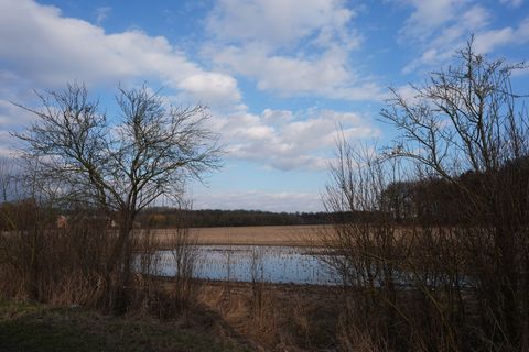 In Hamburg, Schleswig-Holstein und Mecklenburg-Vorpommern könnte es in den nächsten Tagen wieder wolkiger werden. (Archivbild) F