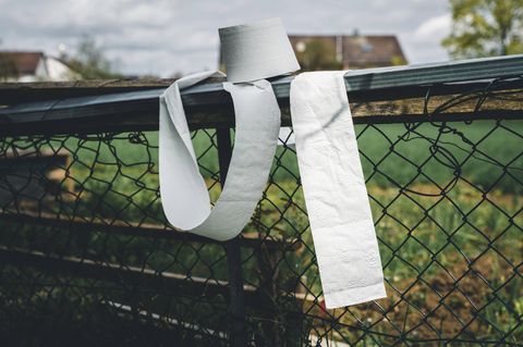 Eine Rolle Toilettenpapier hängt über einem Zaun