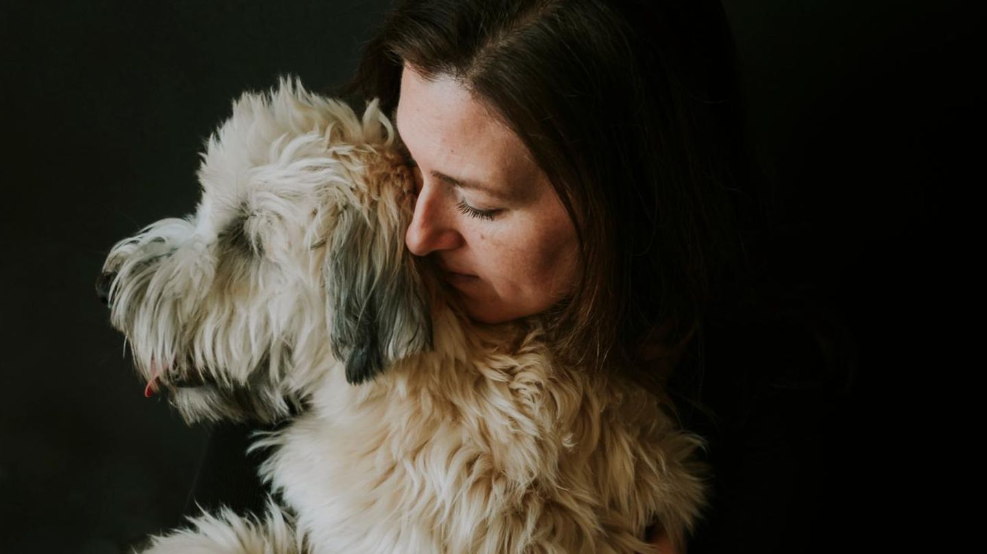 Seelisches Leid: Krankes Frauchen, krankes Tier? Wie Hunde unsere Krisen miterleben