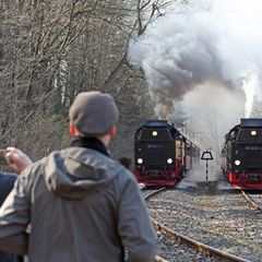 Die Harzer Schmalspurbahnen blicken trotz weniger Fahrgästen auf ein solides Jahr 2025 zurück. (Archivbild) Foto: Matthias Bein/