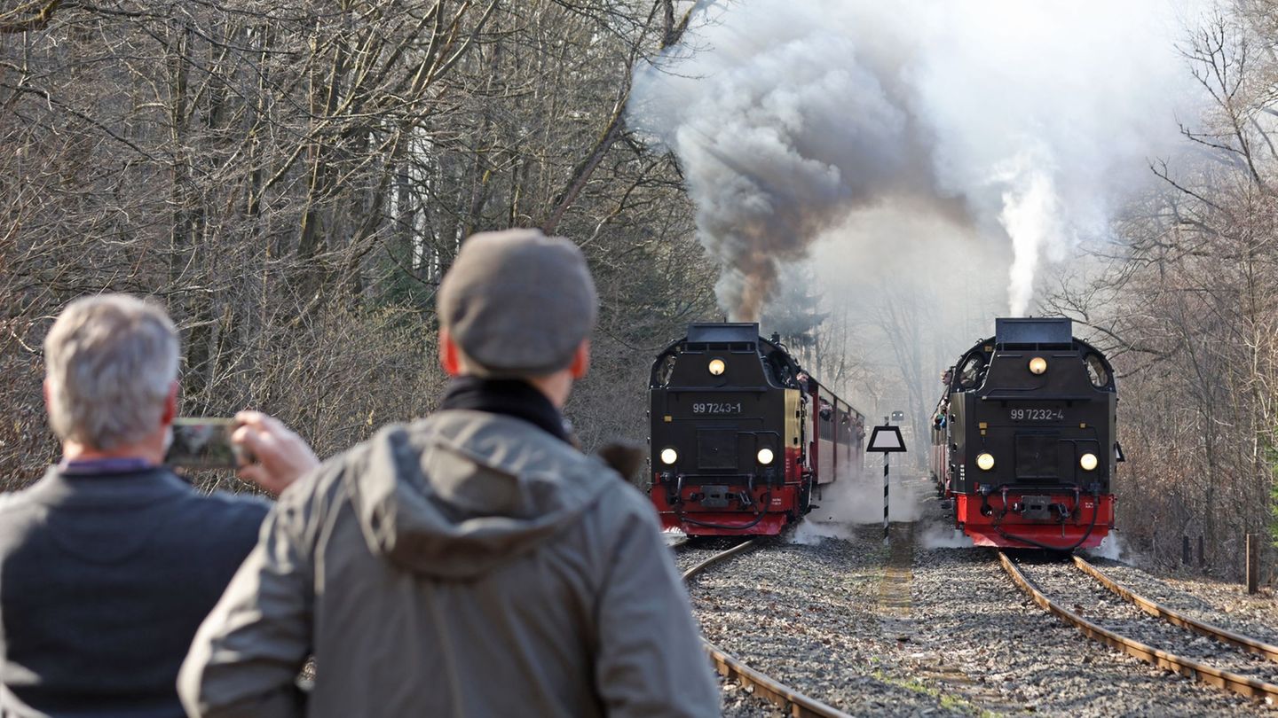Die Harzer Schmalspurbahnen blicken trotz weniger Fahrgästen auf ein solides Jahr 2025 zurück. (Archivbild) Foto: Matthias Bein/