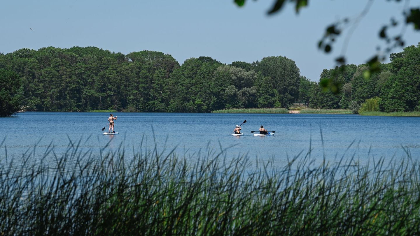 Die meisten Todesopfer gab es bei Badeunfällen im See. (Symbolbild) Foto: Soeren Stache/dpa-Zentralbild/dpa