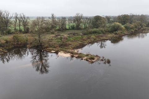 Zwölf Kameras erfassen an der Elbe jeder Tierbewegung. (Archivbild) Foto: Sebastian Willnow/dpa