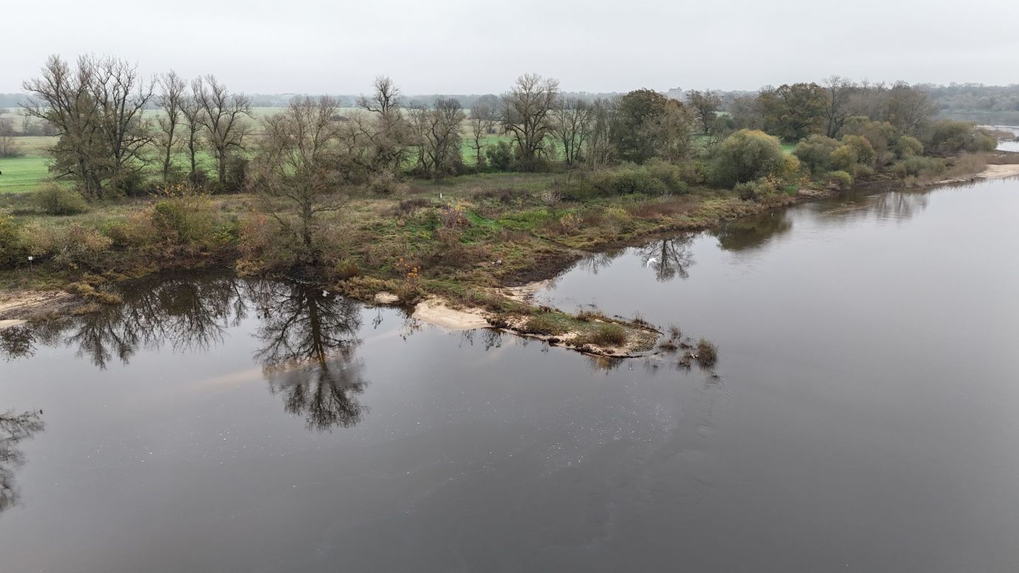 Zwölf Kameras erfassen an der Elbe jeder Tierbewegung. (Archivbild) Foto: Sebastian Willnow/dpa