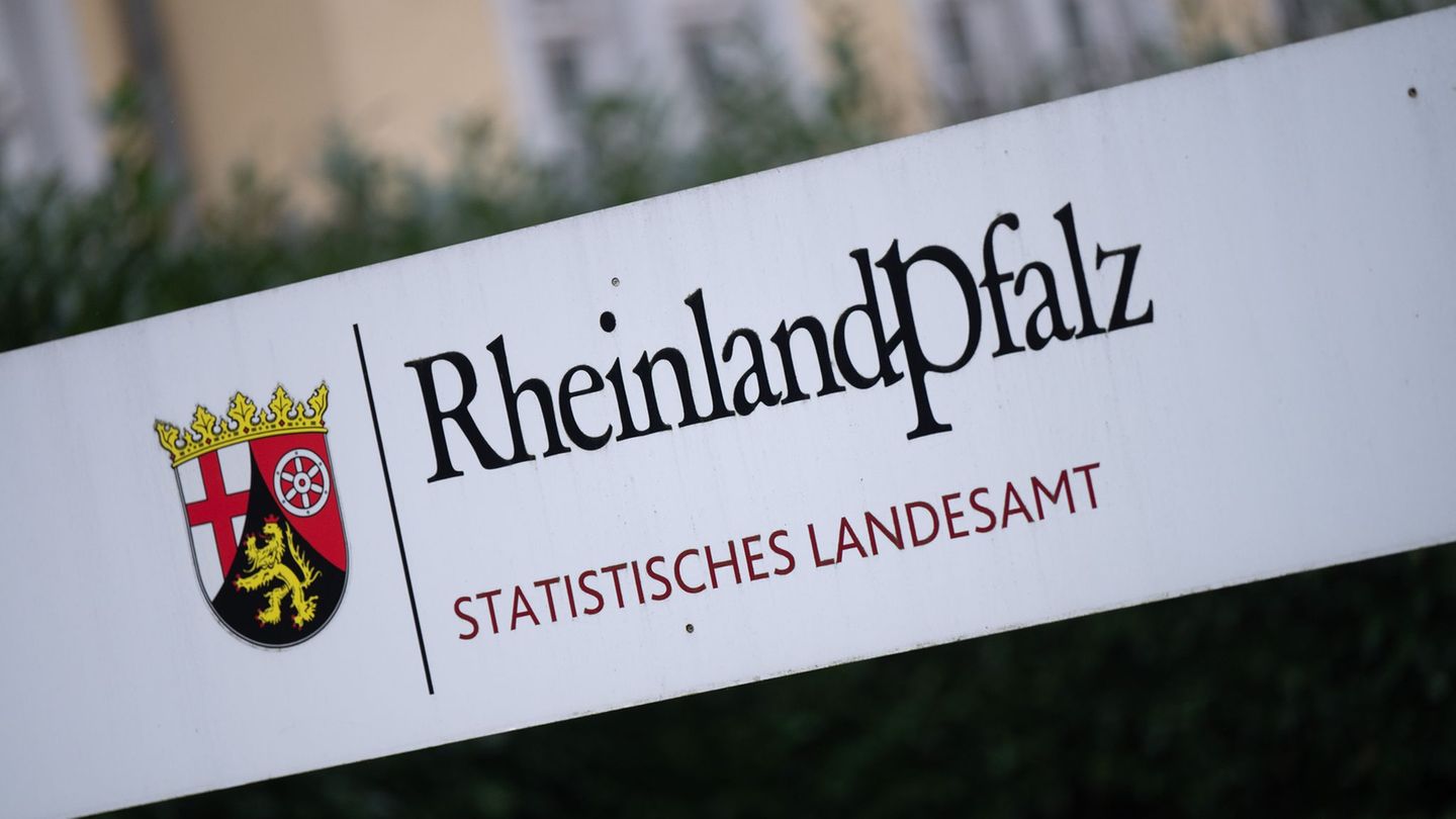 Rund 10.000 Arbeitsplätze sind den Statistikern zufolge von den Insolvenzen betroffen. (Symbolbild) Foto: Sebastian Gollnow/dpa