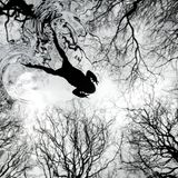 Kröte im Teich in schwarz-weiß