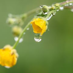 Wetter