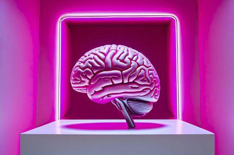 Ein pinkes Gehirn in pinkem Licht