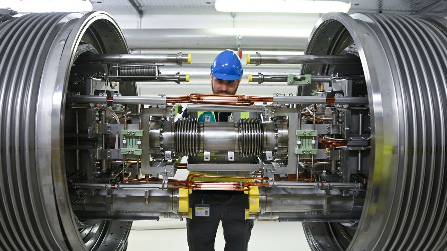 Hilfe für die Forschung: Feuer bremst Forschungsprojekt – Land springt ein