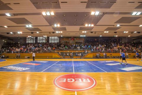Die Fans vom ThSV Eisenach können in der neuen Saison einen neuen Linksaußen in der Werner-Aßmann-Halle begrüßen (Archivbild). F