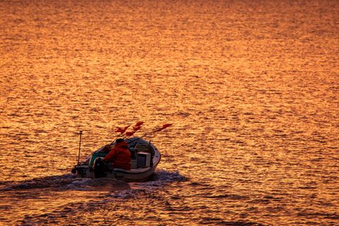 An der Ostseeküste wurde wieder ein Wal gesichtet. (Symbolbild) Foto: Jens Büttner/dpa