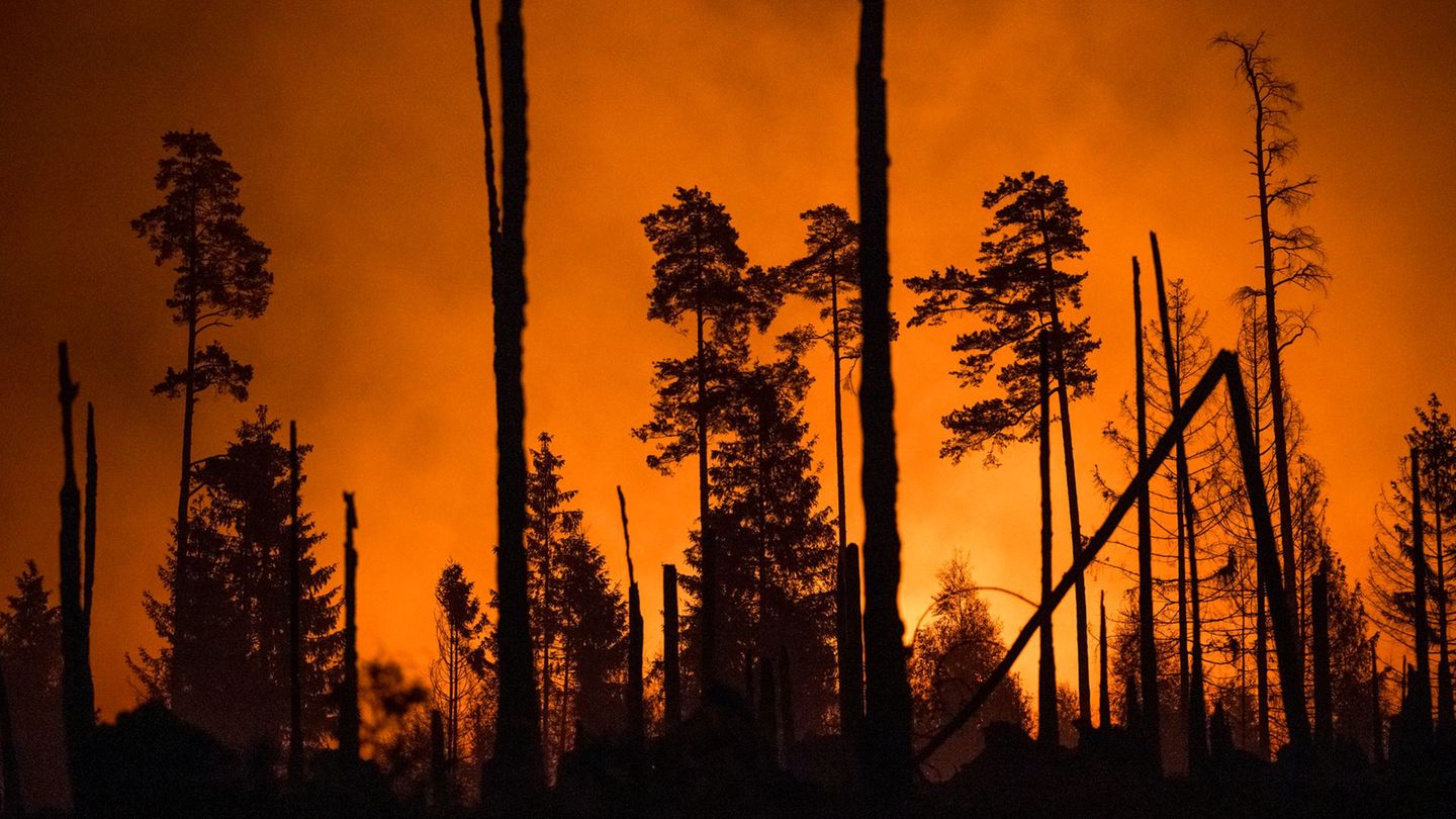 Waldbrand: Gutachten zu Großbrand bei Saalfeld liegt vor