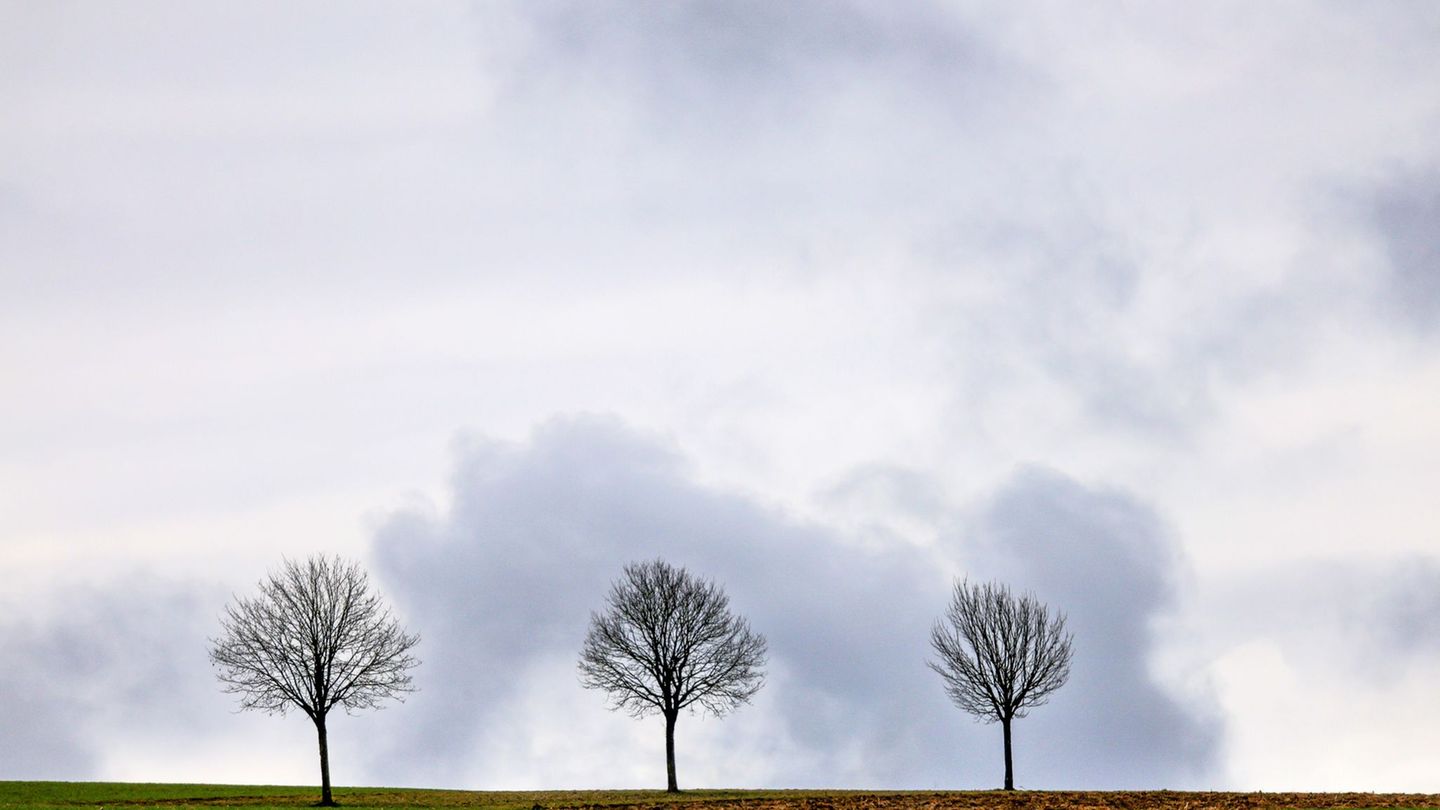 Trotz milder Temperaturen wird es wieder etwas ungemütlicher. (Archivbild) Foto: Thomas Warnack/dpa