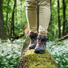 Deal News Mammut Wanderschuhe: Frau balanciert Baumstamm im Wald